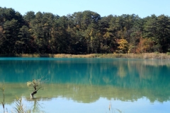 14.10.19 - Goshinkinuma
