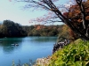 2014.10.19_-_Goshinkinuma_-_0001