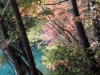 2014.10.19_-_Goshinkinuma_-_0010