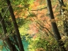 2014.10.19_-_Goshinkinuma_-_0011