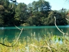 2014.10.19_-_Goshinkinuma_-_0015