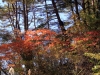 2014.10.19_-_Goshinkinuma_-_0018