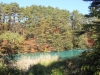 2014.10.19_-_Goshinkinuma_-_0046