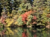 2014.10.19_-_Goshinkinuma_-_0052
