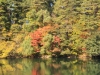 2014.10.19_-_Goshinkinuma_-_0053