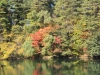 2014.10.19_-_Goshinkinuma_-_0055