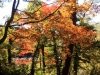 2014.10.19_-_Goshinkinuma_-_0063
