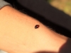 2014.10.19_-_Goshinkinuma_-_0081