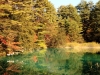 2014.10.19_-_Goshinkinuma_-_0090