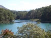 DSC00801