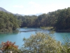 DSC00802