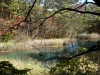 DSC00803