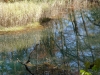 DSC00804