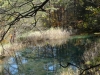 DSC00805