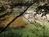 DSC00806