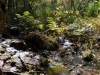 DSC00808