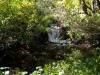 DSC00809