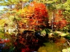 DSC00846