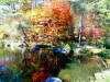 DSC00848