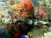 DSC00849