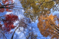 14.10.27 - Nasu