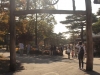 2014.10.26_-_Nasu0001