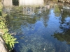 2014.10.26_-_Nasu0006