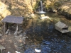 2014.10.26_-_Nasu0011