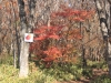 2014.10.26_-_Nasu0021