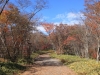 2014.10.26_-_Nasu0024
