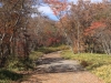 2014.10.26_-_Nasu0025