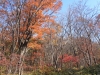 2014.10.26_-_Nasu0034