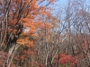 2014.10.26_-_Nasu0035