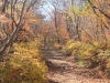 2014.10.26_-_Nasu0040