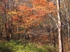 2014.10.26_-_Nasu0044