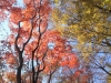 2014.10.26_-_Nasu0045