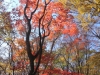 2014.10.26_-_Nasu0046