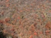 2014.10.26_-_Nasu0053