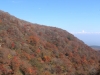 2014.10.26_-_Nasu0058