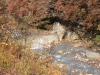 2014.10.26_-_Nasu0061