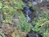2014.10.26_-_Nasu0084