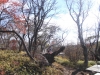 2014.10.26_-_Nasu0095