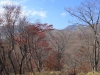 2014.10.26_-_Nasu0096