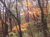 2014.10.26_-_Nasu0097