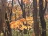 2014.10.26_-_Nasu0098