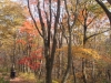 2014.10.26_-_Nasu0099