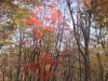 2014.10.26_-_Nasu0100