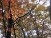 2014.10.26_-_Nasu0102
