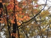 2014.10.26_-_Nasu0103