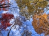2014.10.26_-_Nasu0105